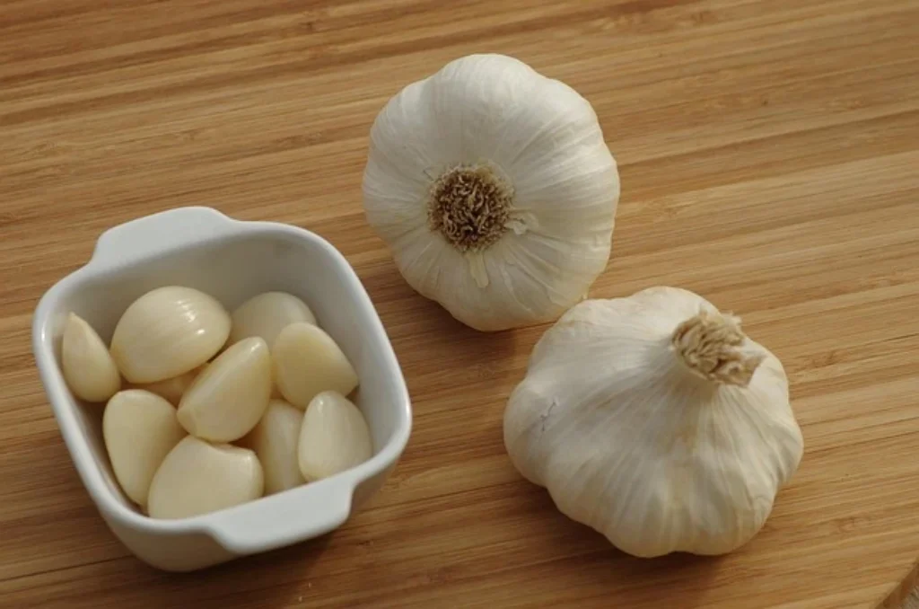 garlic as remedy against mosquitoes